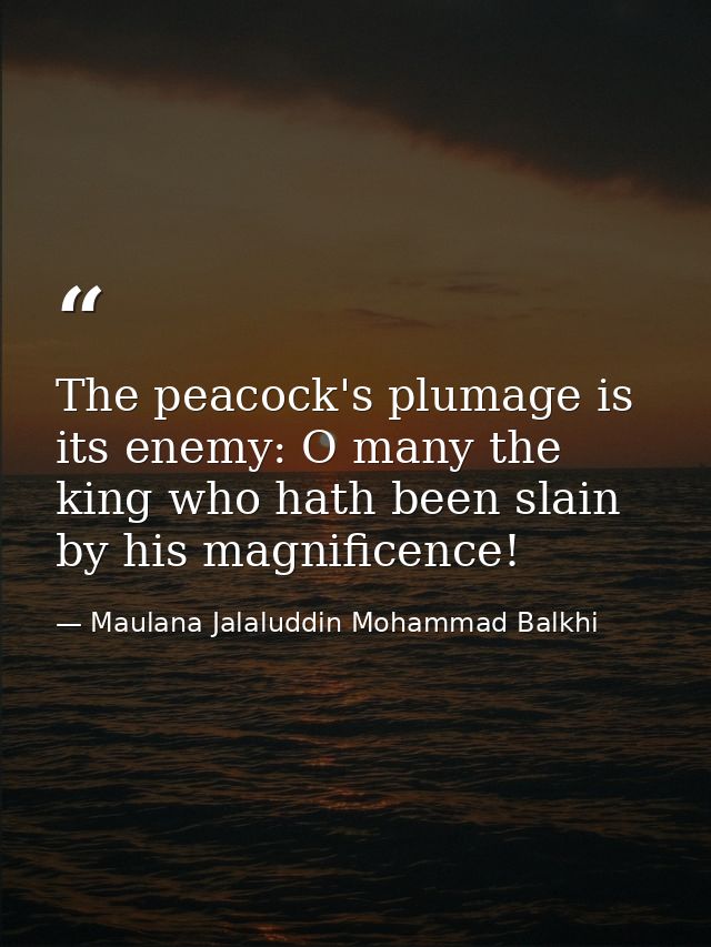 The peacock's plumage is its enemy: O many the king who hath been slain by his magnificence! — Maulana Jalaluddin Mohammad Balkhi