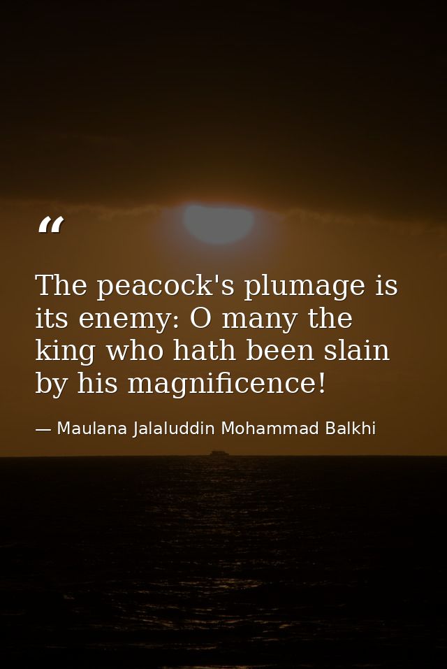 The peacock's plumage is its enemy: O many the king who hath been slain by his magnificence! — Maulana Jalaluddin Mohammad Balkhi