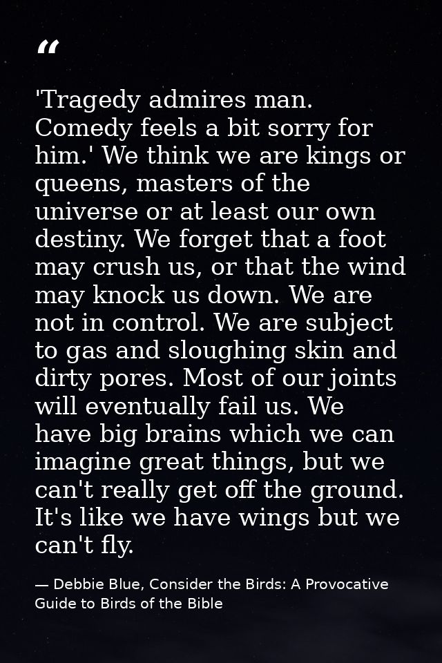 'Tragedy admires man. Comedy feels a bit sorry for him.' We think we are kings or queens, masters of the universe or at  — Debbie Blue, Consider the Birds: A Provocative Guide to Birds of the Bible