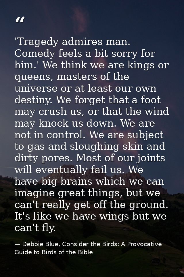 'Tragedy admires man. Comedy feels a bit sorry for him.' We think we are kings or queens, masters of the universe or at  — Debbie Blue, Consider the Birds: A Provocative Guide to Birds of the Bible