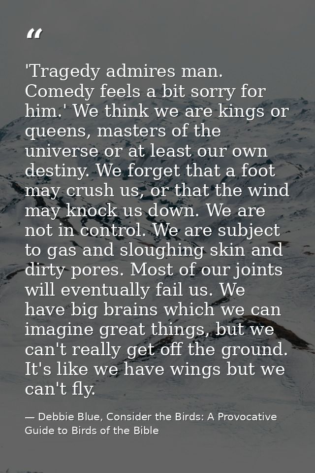 'Tragedy admires man. Comedy feels a bit sorry for him.' We think we are kings or queens, masters of the universe or at  — Debbie Blue, Consider the Birds: A Provocative Guide to Birds of the Bible