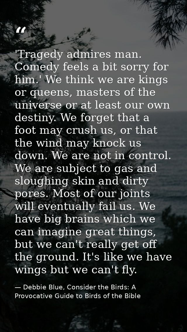 'Tragedy admires man. Comedy feels a bit sorry for him.' We think we are kings or queens, masters of the universe or at  — Debbie Blue, Consider the Birds: A Provocative Guide to Birds of the Bible