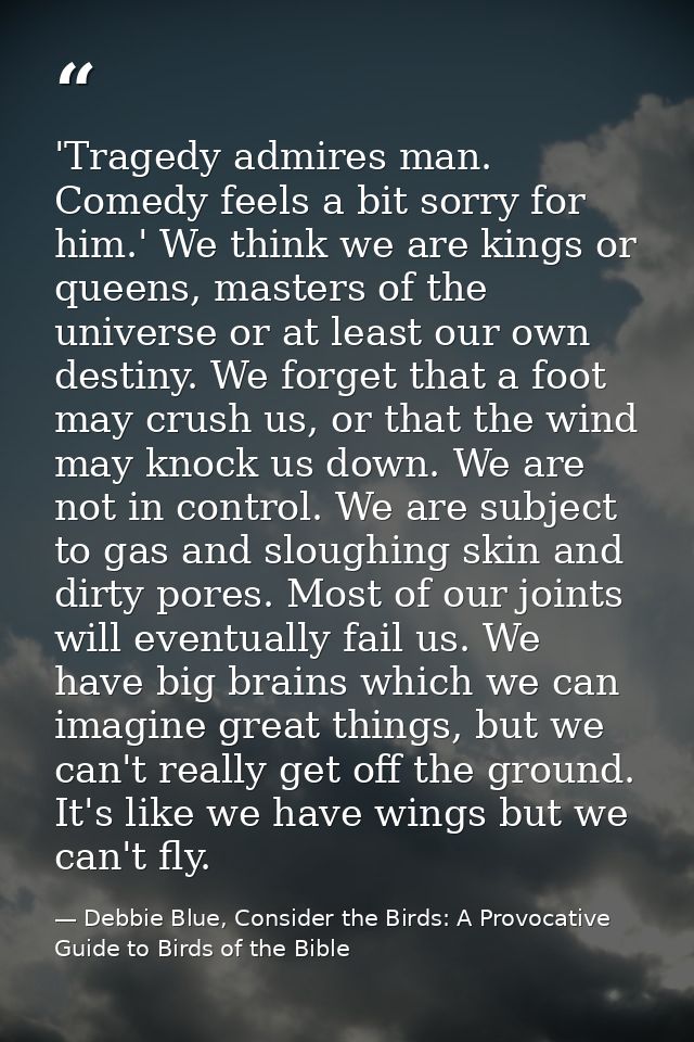 'Tragedy admires man. Comedy feels a bit sorry for him.' We think we are kings or queens, masters of the universe or at  — Debbie Blue, Consider the Birds: A Provocative Guide to Birds of the Bible