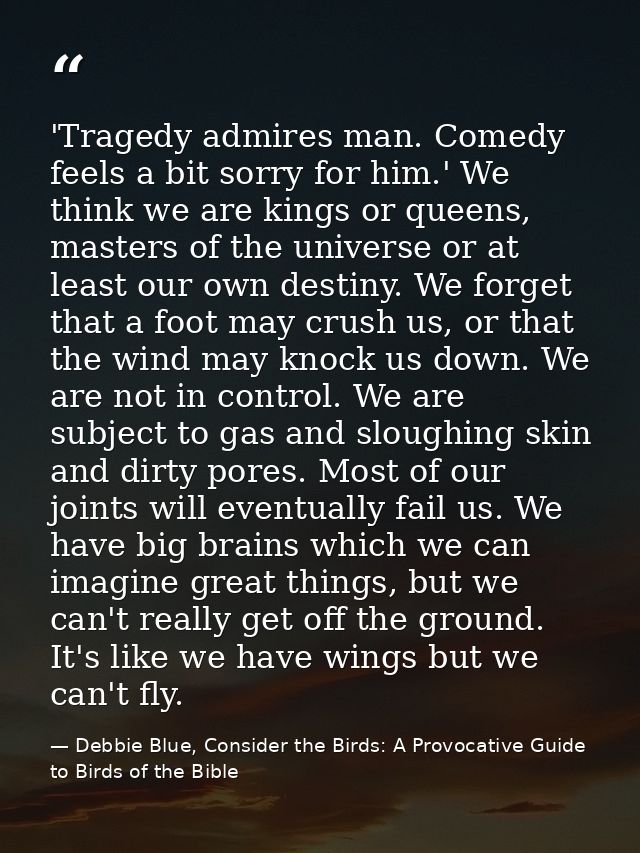 'Tragedy admires man. Comedy feels a bit sorry for him.' We think we are kings or queens, masters of the universe or at  — Debbie Blue, Consider the Birds: A Provocative Guide to Birds of the Bible