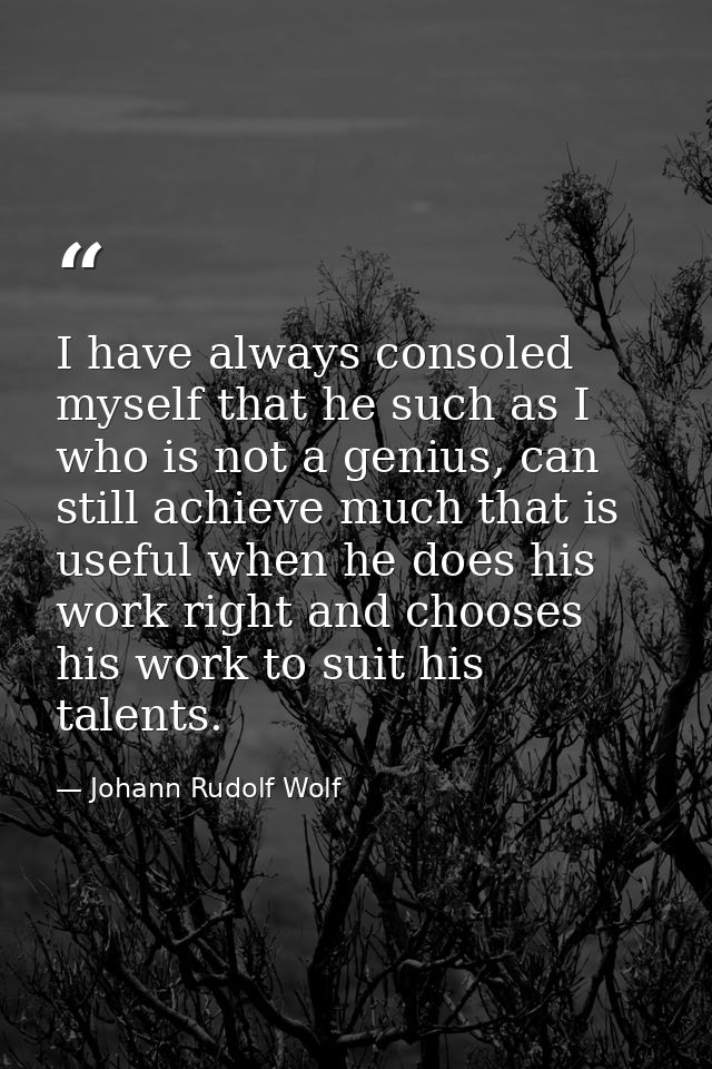 I have always consoled myself that he such as I who is not a genius, can still achieve much that is useful when he does  — Johann Rudolf Wolf