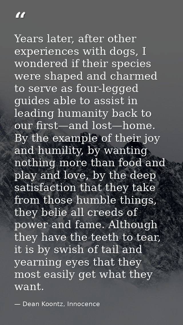 Years later, after other experiences with dogs, I wondered if their species were shaped and charmed to serve as four-leg — Dean Koontz, Innocence