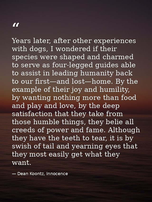 Years later, after other experiences with dogs, I wondered if their species were shaped and charmed to serve as four-leg — Dean Koontz, Innocence