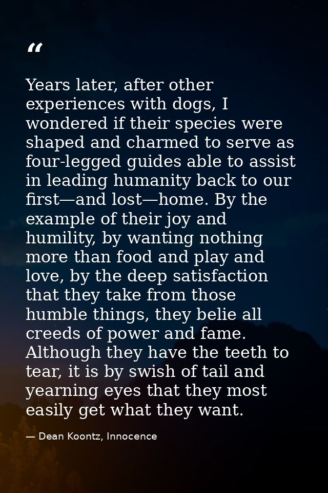 Years later, after other experiences with dogs, I wondered if their species were shaped and charmed to serve as four-leg — Dean Koontz, Innocence