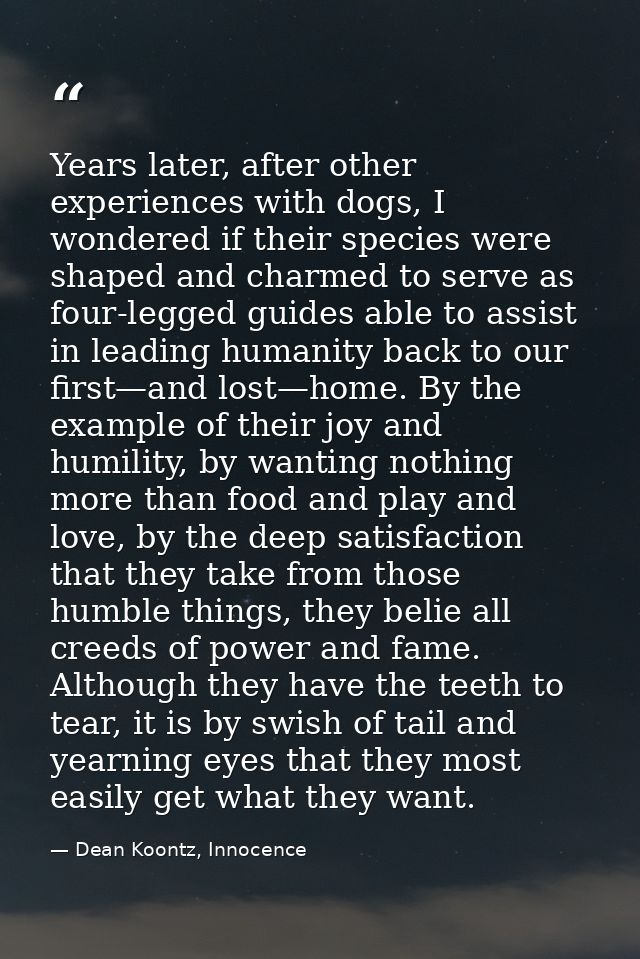 Years later, after other experiences with dogs, I wondered if their species were shaped and charmed to serve as four-leg — Dean Koontz, Innocence