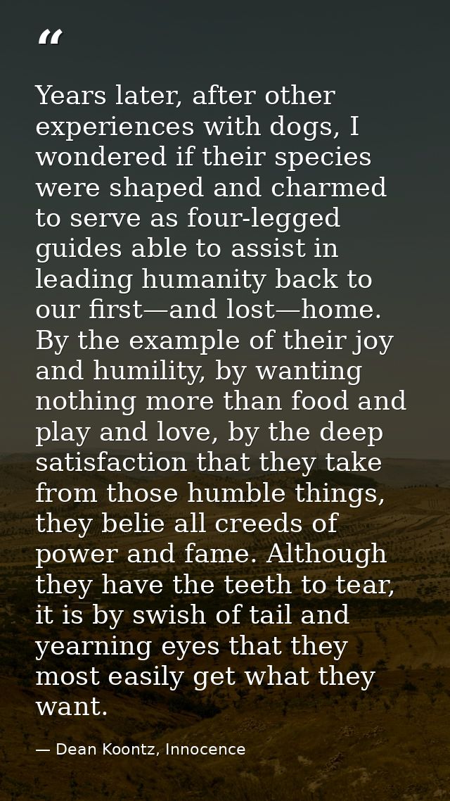 Years later, after other experiences with dogs, I wondered if their species were shaped and charmed to serve as four-leg — Dean Koontz, Innocence