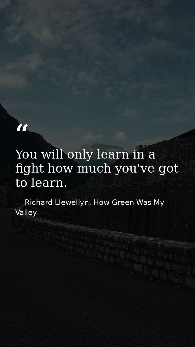 You will only learn in a fight how much you've got to learn. — Richard Llewellyn, How Green Was My Valley