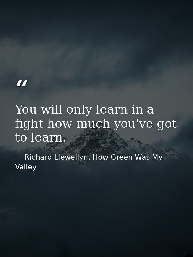 You will only learn in a fight how much you've got to learn. — Richard Llewellyn, How Green Was My Valley