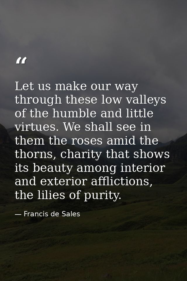 Let us make our way through these low valleys of the humble and little virtues. We shall see in them the roses amid the  — Francis de Sales