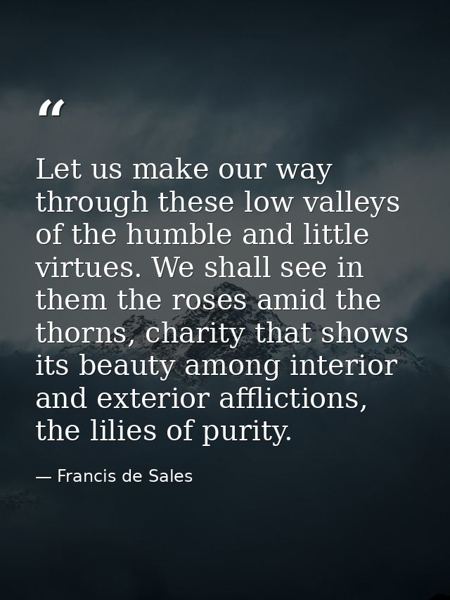 Let us make our way through these low valleys of the humble and little virtues. We shall see in them the roses amid the  — Francis de Sales
