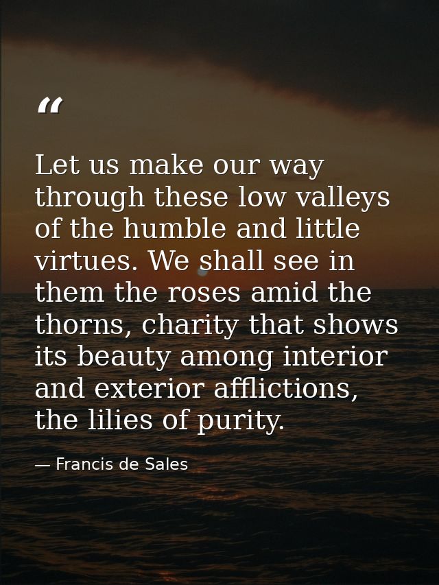 Let us make our way through these low valleys of the humble and little virtues. We shall see in them the roses amid the  — Francis de Sales