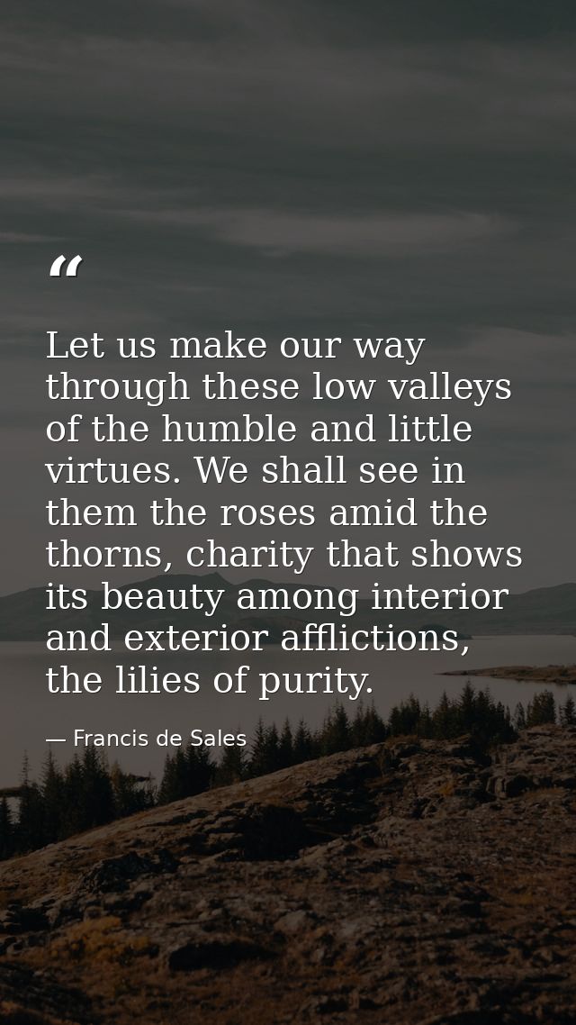 Let us make our way through these low valleys of the humble and little virtues. We shall see in them the roses amid the  — Francis de Sales