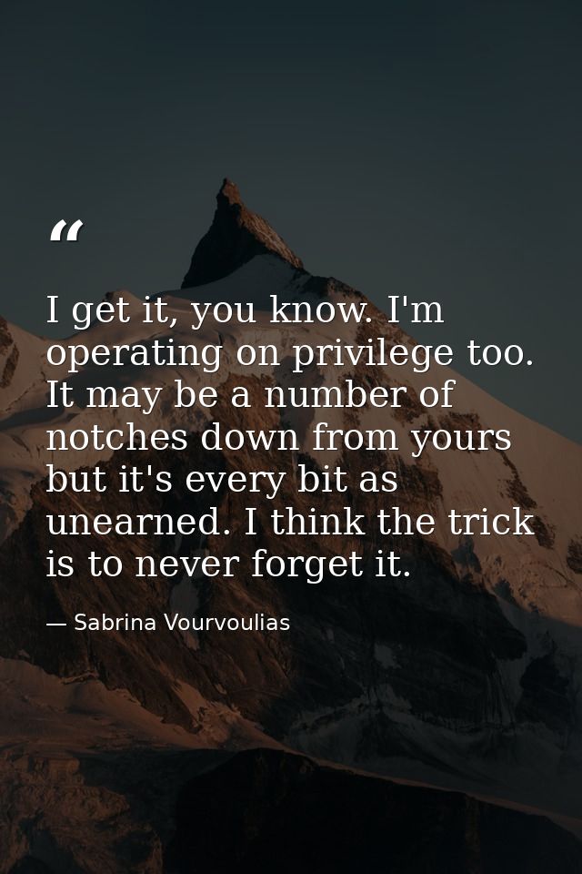 I get it, you know. I'm operating on privilege too. It may be a number of notches down from yours but it's every bit as  — Sabrina Vourvoulias