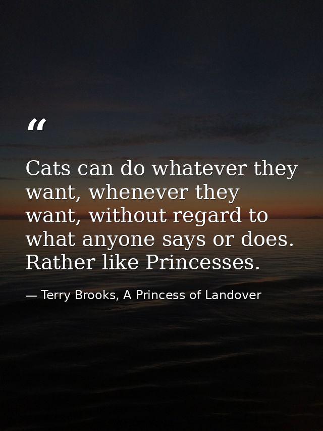 Cats can do whatever they want, whenever they want, without regard to what anyone says or does. Rather like Princesses. — Terry Brooks, A Princess of Landover
