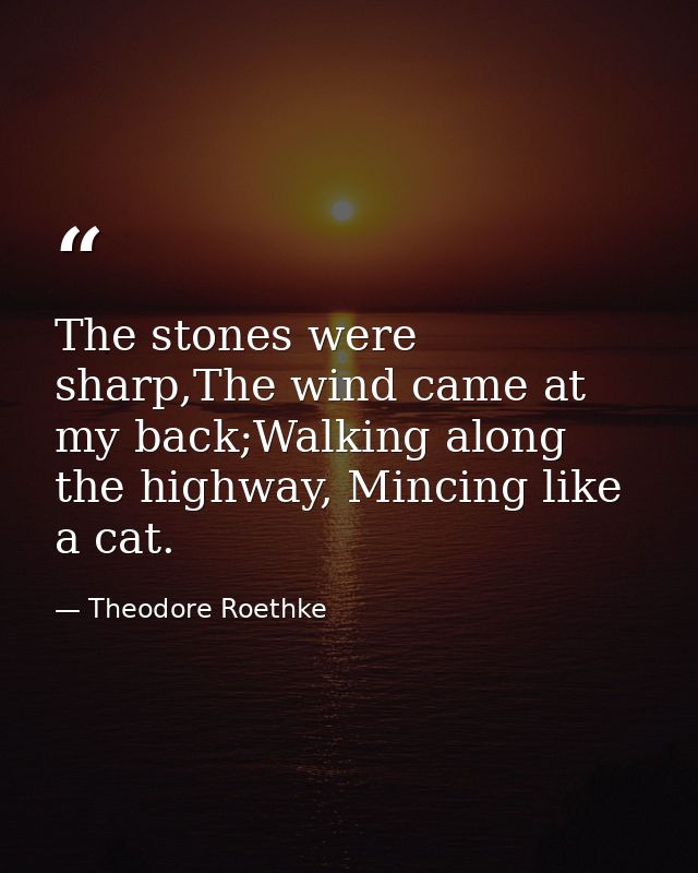 The stones were sharp,The wind came at my back;Walking along the highway, Mincing like a cat. — Theodore Roethke