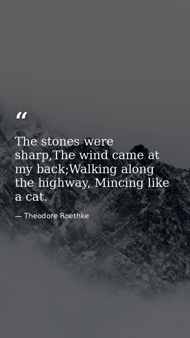 The stones were sharp,The wind came at my back;Walking along the highway, Mincing like a cat. — Theodore Roethke