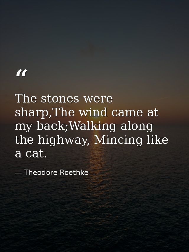 The stones were sharp,The wind came at my back;Walking along the highway, Mincing like a cat. — Theodore Roethke