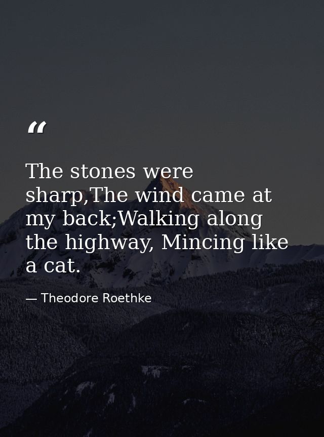 The stones were sharp,The wind came at my back;Walking along the highway, Mincing like a cat. — Theodore Roethke