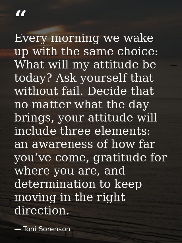Every morning we wake up with the same choice: What will my attitude be today? Ask yourself that without fail. Decide th — Toni Sorenson