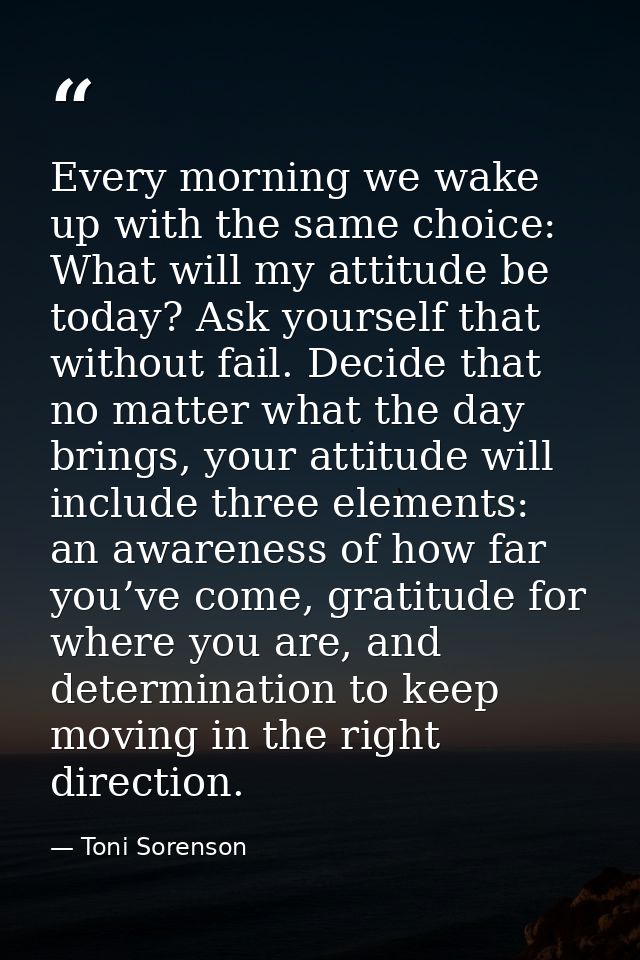 Every morning we wake up with the same choice: What will my attitude be today? Ask yourself that without fail. Decide th — Toni Sorenson