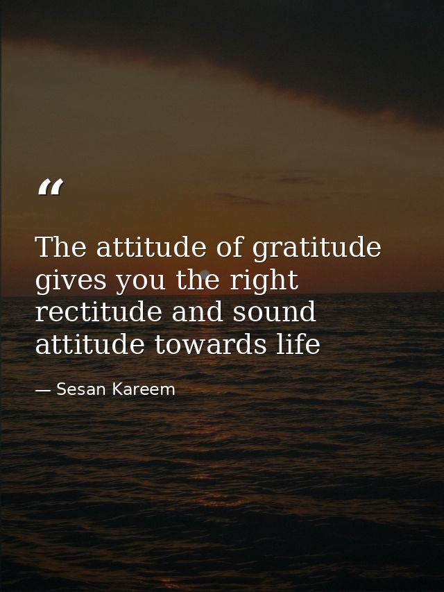 The attitude of gratitude gives you the right rectitude and sound attitude towards life — Sesan Kareem