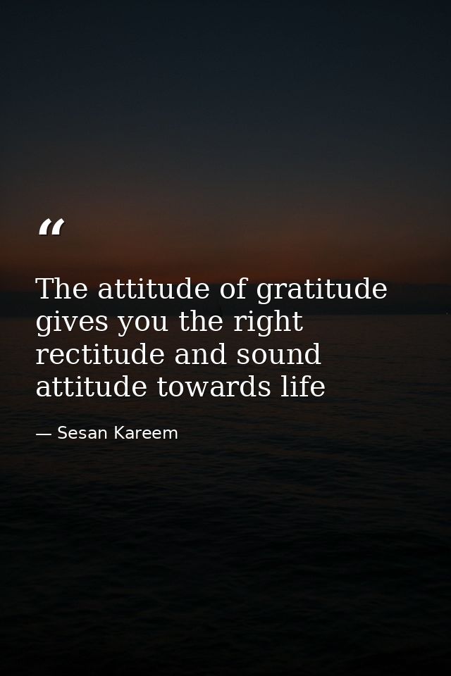 The attitude of gratitude gives you the right rectitude and sound attitude towards life — Sesan Kareem