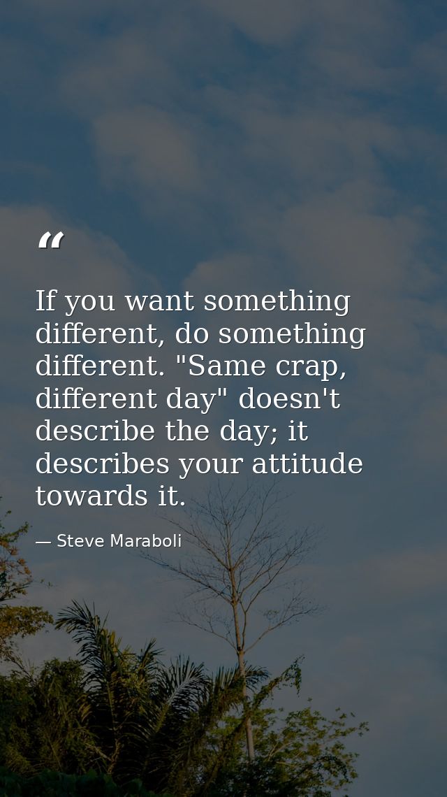 If you want something different, do something different. "Same crap, different day" doesn't describe the day; it describ — Steve Maraboli