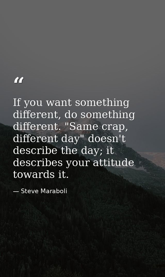If you want something different, do something different. "Same crap, different day" doesn't describe the day; it describ — Steve Maraboli