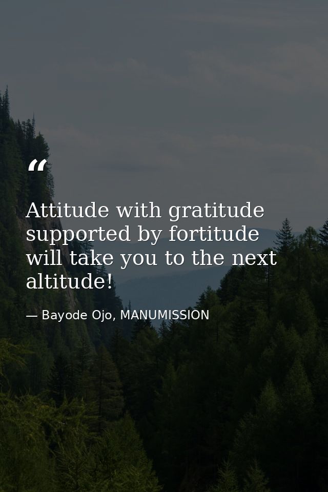 Attitude with gratitude supported by fortitude will take you to the next altitude! — Bayode Ojo, MANUMISSION