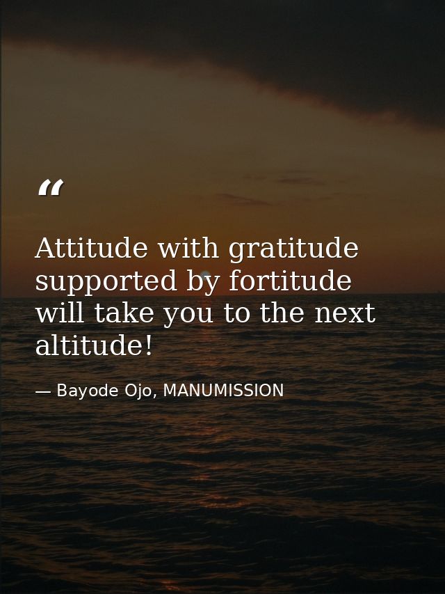 Attitude with gratitude supported by fortitude will take you to the next altitude! — Bayode Ojo, MANUMISSION