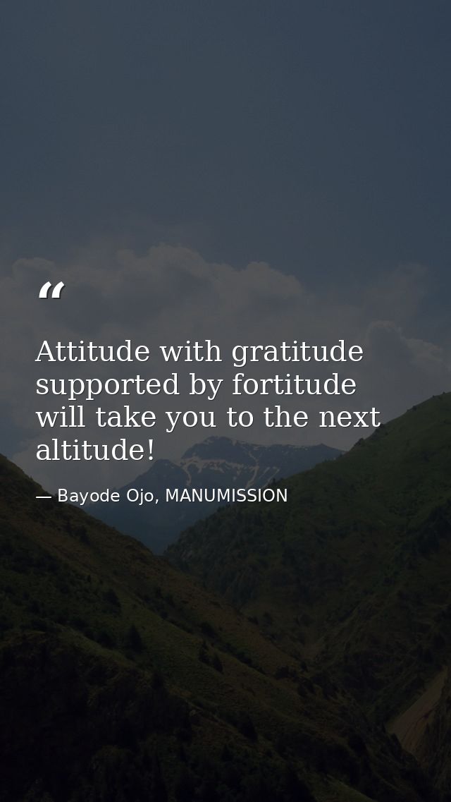 Attitude with gratitude supported by fortitude will take you to the next altitude! — Bayode Ojo, MANUMISSION