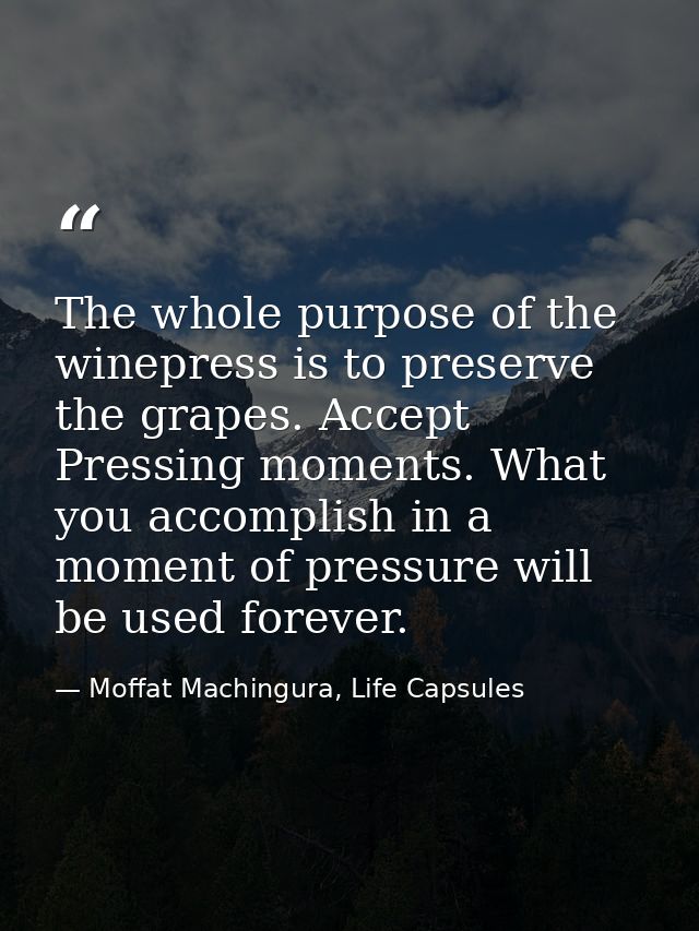 The whole purpose of the winepress is to preserve the grapes. Accept Pressing moments. What you accomplish in a moment o — Moffat Machingura, Life Capsules
