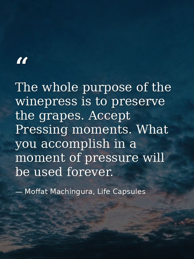 The whole purpose of the winepress is to preserve the grapes. Accept Pressing moments. What you accomplish in a moment o — Moffat Machingura, Life Capsules