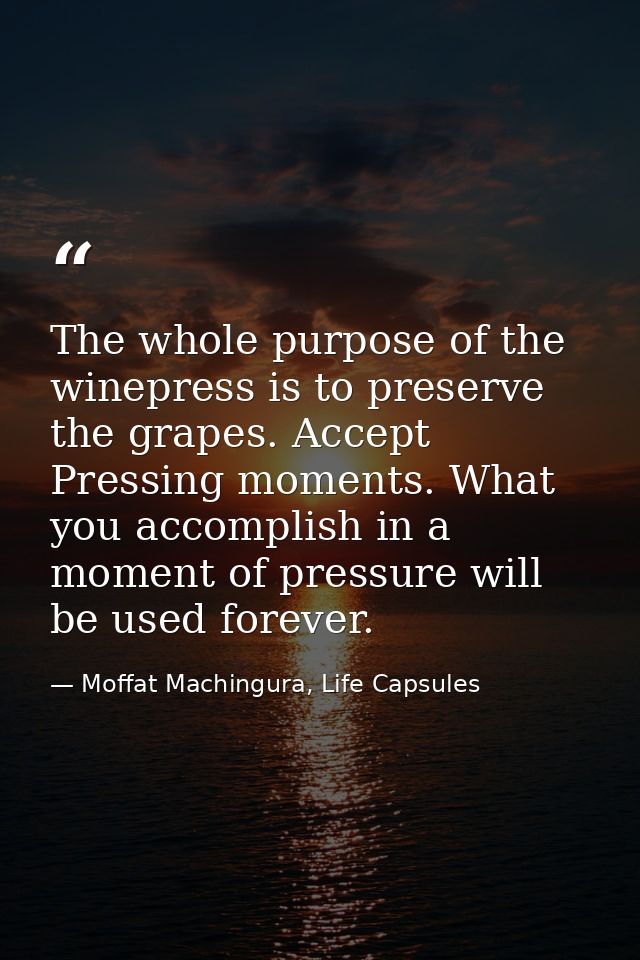 The whole purpose of the winepress is to preserve the grapes. Accept Pressing moments. What you accomplish in a moment o — Moffat Machingura, Life Capsules