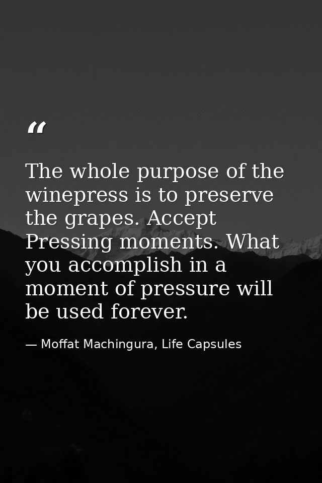 The whole purpose of the winepress is to preserve the grapes. Accept Pressing moments. What you accomplish in a moment o — Moffat Machingura, Life Capsules