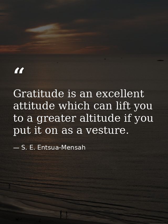 Gratitude is an excellent attitude which can lift you to a greater altitude if you put it on as a vesture. — S. E. Entsua-Mensah