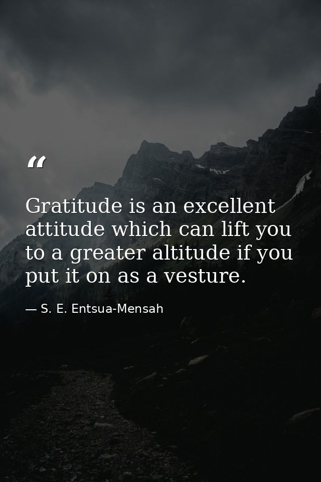 Gratitude is an excellent attitude which can lift you to a greater altitude if you put it on as a vesture. — S. E. Entsua-Mensah