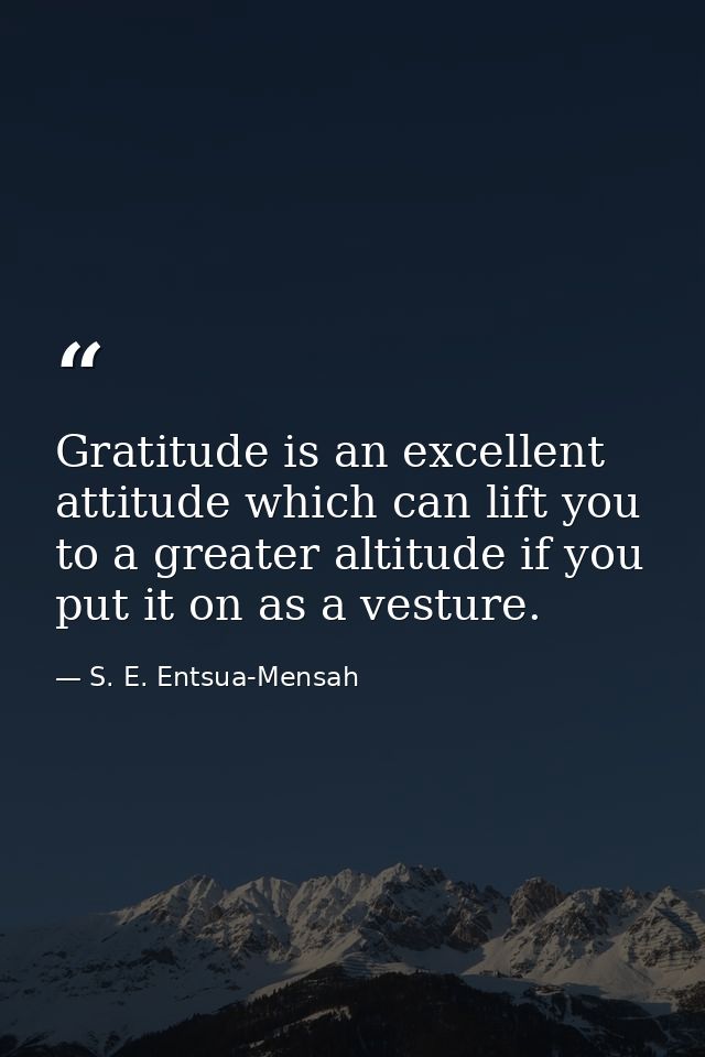 Gratitude is an excellent attitude which can lift you to a greater altitude if you put it on as a vesture. — S. E. Entsua-Mensah