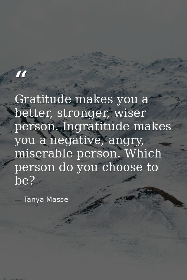 Gratitude makes you a better, stronger, wiser person. Ingratitude makes you a negative, angry, miserable person. Which p — Tanya Masse