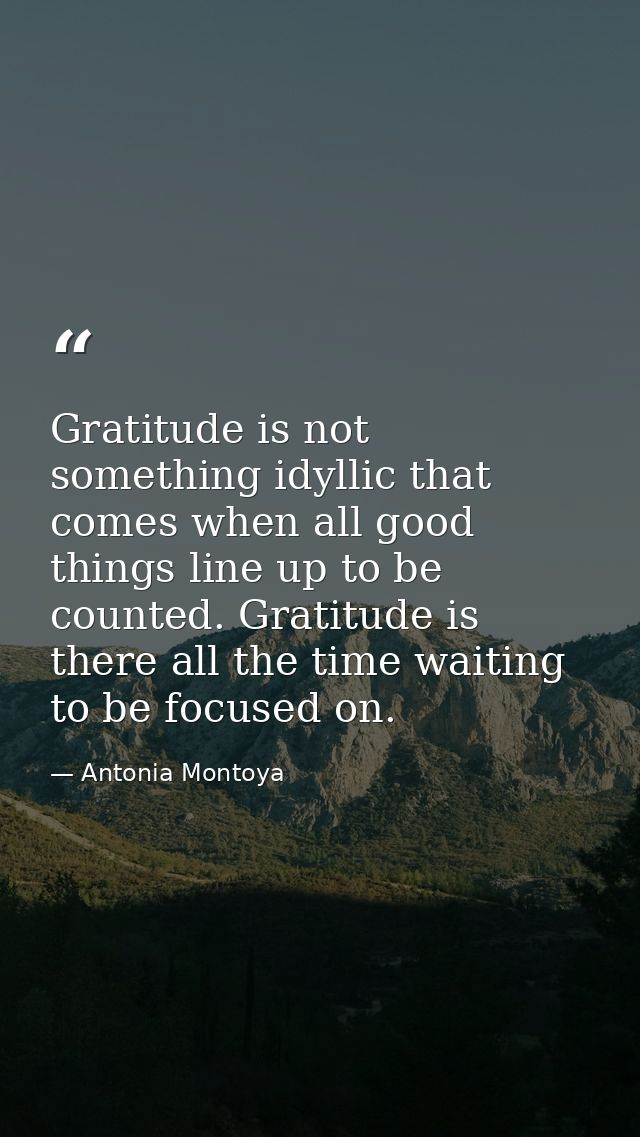 Gratitude is not something idyllic that comes when all good things line up to be counted. Gratitude is there all the tim — Antonia Montoya