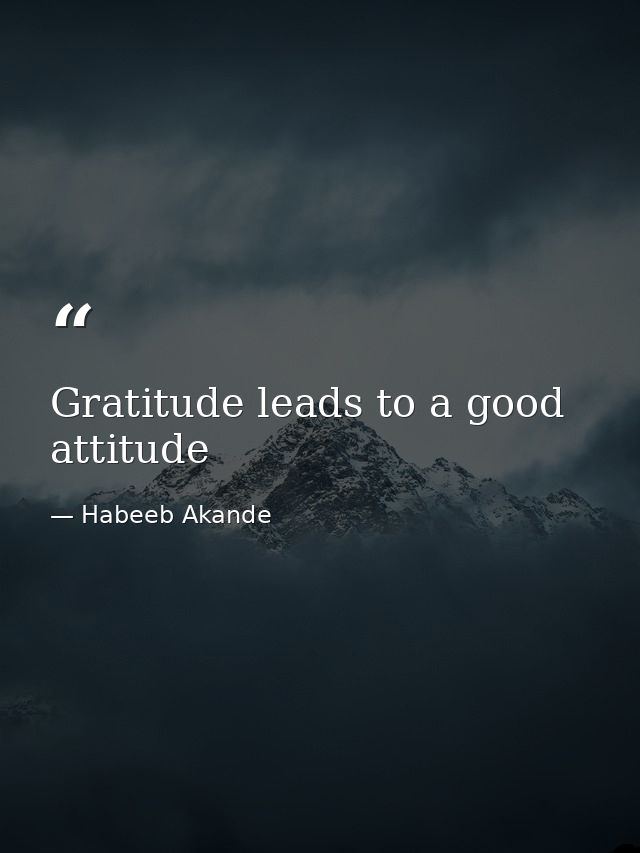Gratitude leads to a good attitude — Habeeb Akande