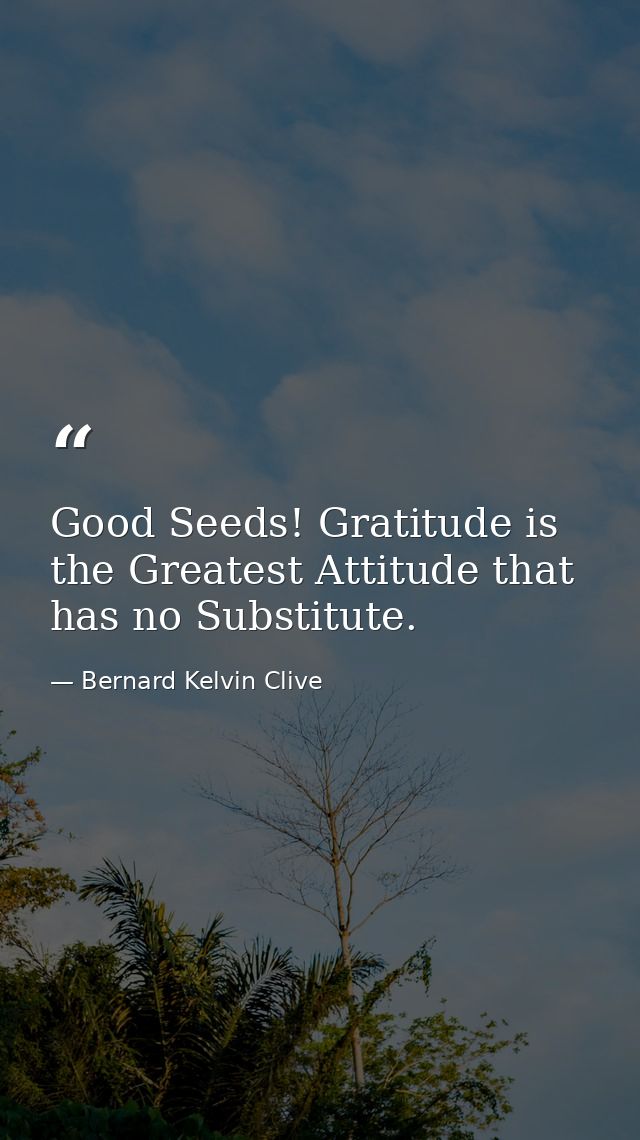 Good Seeds! Gratitude is the Greatest Attitude that has no Substitute. — Bernard Kelvin Clive