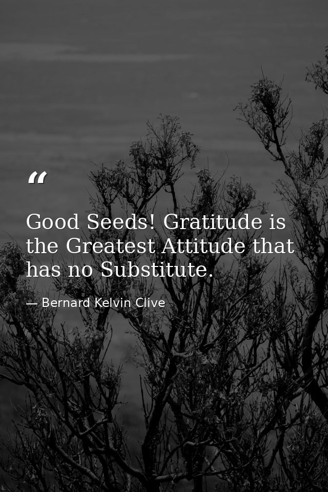 Good Seeds! Gratitude is the Greatest Attitude that has no Substitute. — Bernard Kelvin Clive