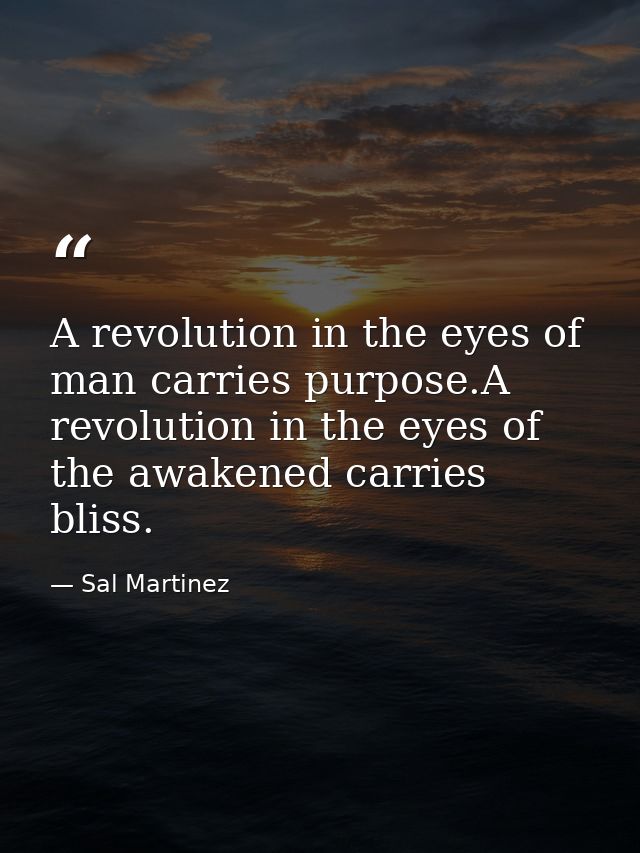 A revolution in the eyes of man carries purpose.A revolution in the eyes of the awakened carries bliss. — Sal Martinez