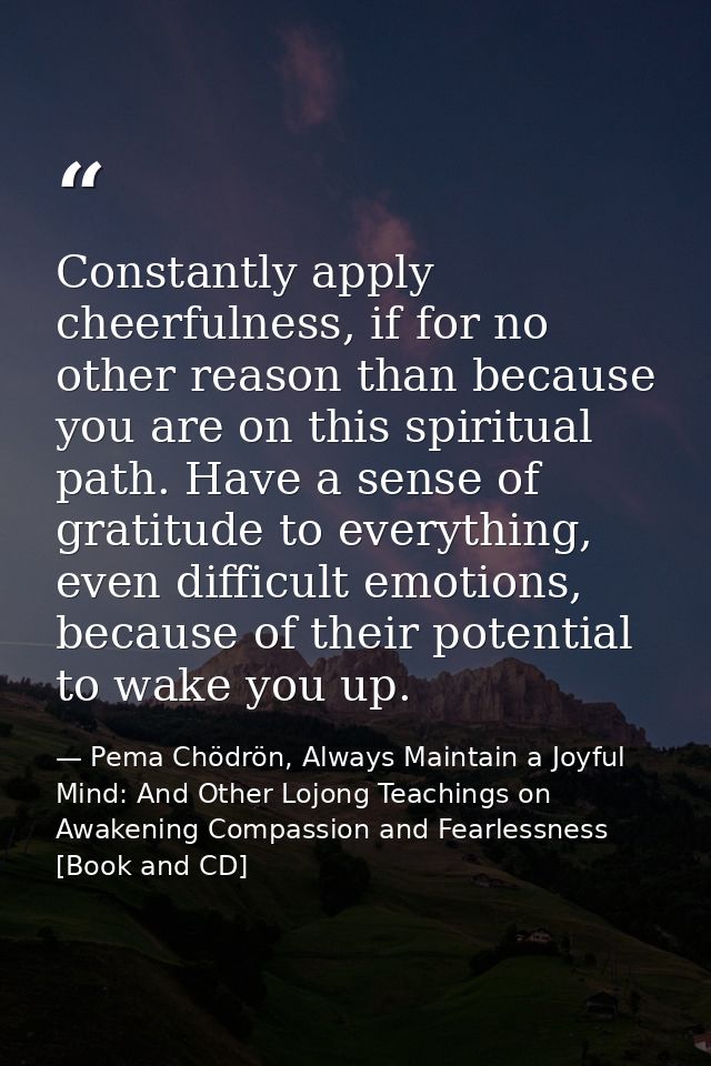 Constantly apply cheerfulness, if for no other reason than because you are on this spiritual path. Have a sense of grati — Pema Chödrön, Always Maintain a Joyful Mind: And Other Lojong Teachings on Awakening Compassion and Fearlessness [Book and CD]