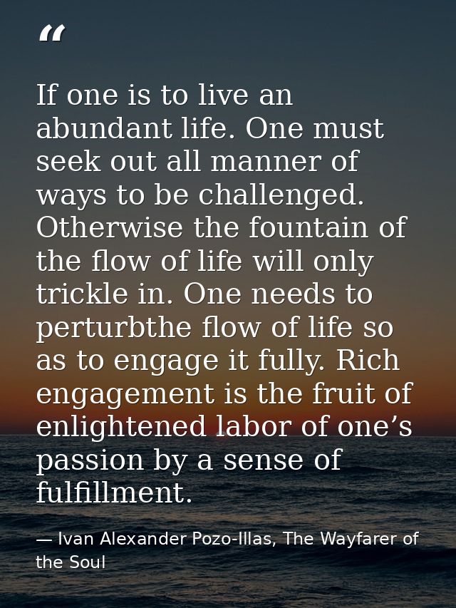 If one is to live an abundant life. One must seek out all manner of ways to be challenged. Otherwise the fountain of the — Ivan Alexander Pozo-Illas, The Wayfarer of the Soul